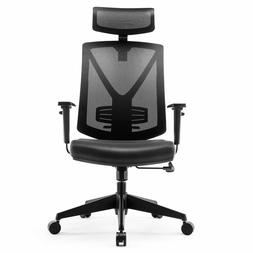 INTEY Ergonomic Office Chair, High Back, Mesh Adjustable Hea
