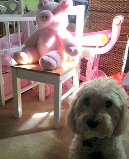 S- 25 Wooden Chairs For Kids